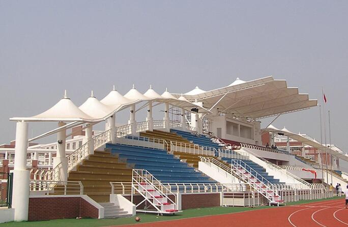 555.jpg